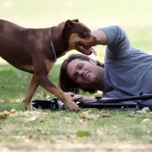 Tom Brady was playing with his late pit bull mix Lua