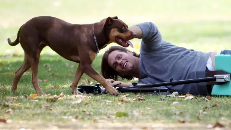 Tom Brady was playing with his late pit bull mix Lua